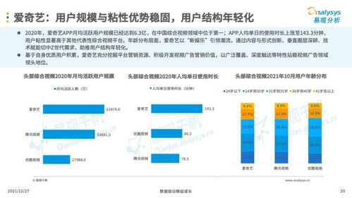 互聯網廣告營銷 企業數字時代的必備技能