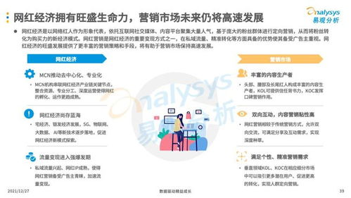互聯(lián)網(wǎng)廣告營(yíng)銷與信息系統(tǒng)集成服務(wù) 現(xiàn)代企業(yè)的必備技能